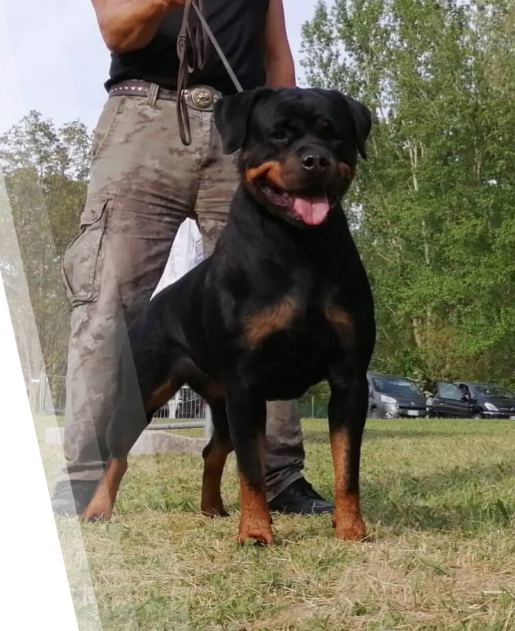 Nina