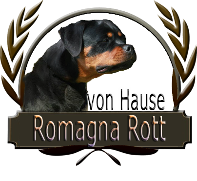 logo sito vonhauseromagnarott.it